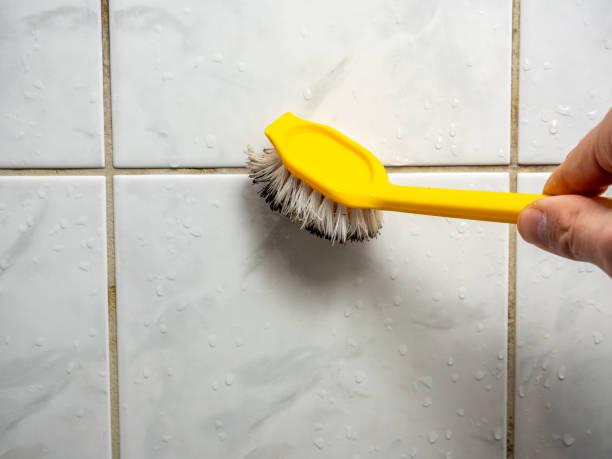 Best Mold Cleaning Services  in Vass, NC